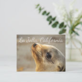 Baby Zee Lion, La Jolla California Briefkaart (Staand voorkant)