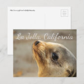 Baby Zee Lion, La Jolla California Briefkaart (Voorkant / Achterkant)