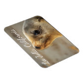 Baby Zee Lion, La Jolla, Californië Magneet (Rechterzijde)