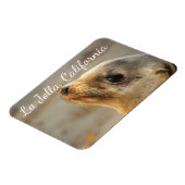 Baby Zee Lion, La Jolla, Californië Magneet (Linkerzijde)