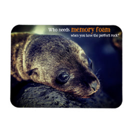 Baby Zee Lion Magneet