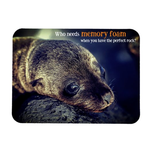 Baby Zee Lion Magneet (Horizontaal)