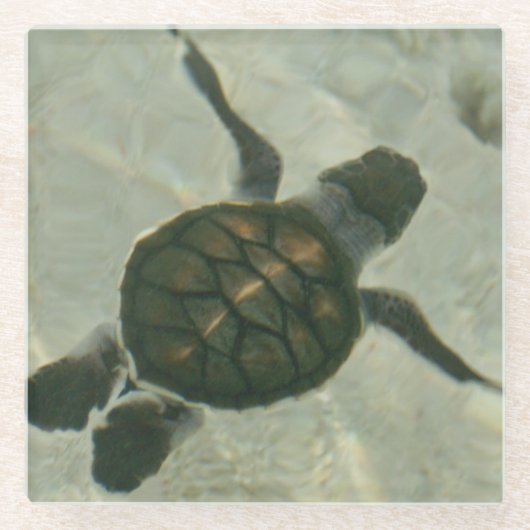 Baby Zee schildpad naar Zee Glazen Onderzetter (Voorkant)