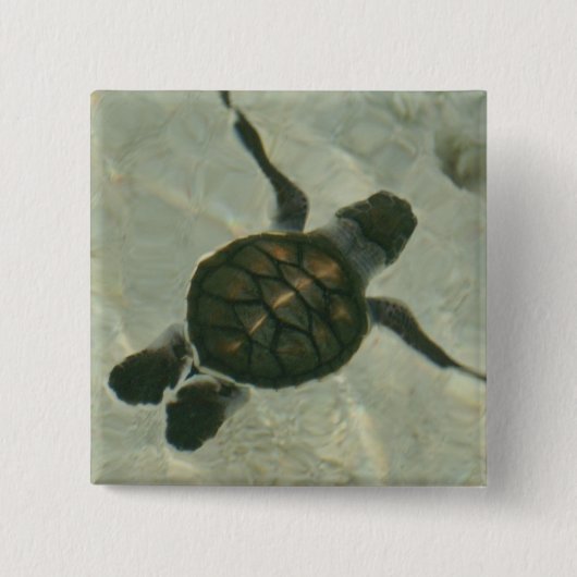 Baby Zee schildpad naar Zee Vierkante Button 5,1 Cm (Voorkant)
