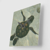 Baby Zee schildpad naar Zee Vierkante Klok (Hoek)