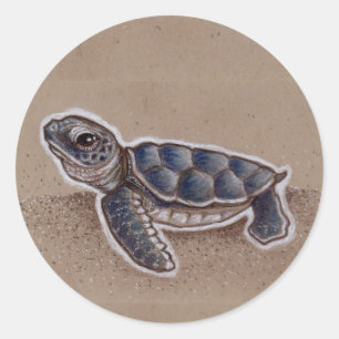 Baby Zee schildpad tekening Ronde Sticker