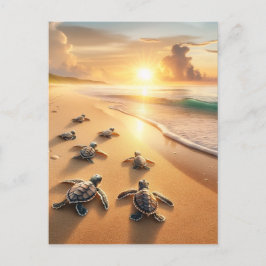Baby Zee Schildpadden op weg naar de oceaan bij he Briefkaart