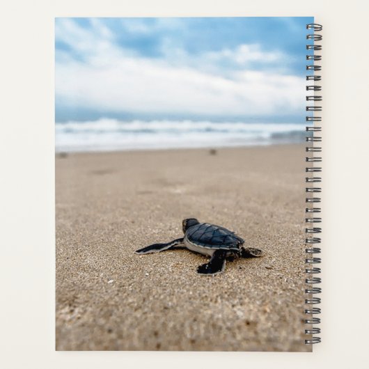 Baby Zee Schrootschilder - Aangepaste plank Planner (Achterkant)