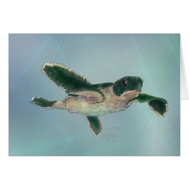 Baby Zee Turtle (Voorkant Horizontaal)
