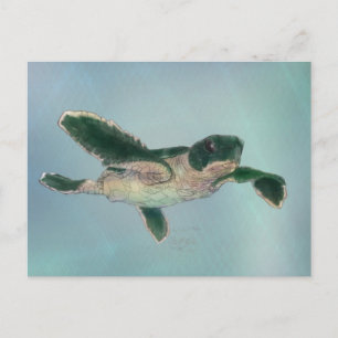 Baby Zee Turtle Briefkaart