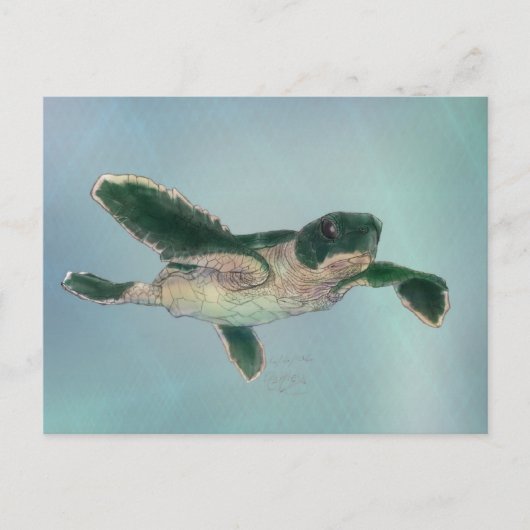 Baby Zee Turtle Briefkaart (Voorkant)