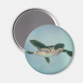 Baby Zee Turtle Magneet (Voorkant / Achterkant)