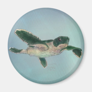 Baby Zee Turtle Magneet