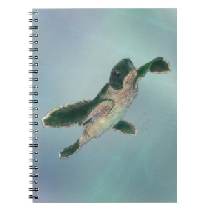 Baby Zee Turtle Notitieboek