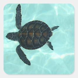 Baby Zee Turtle Sticker