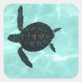 Baby Zee Turtle Sticker (Voorkant)