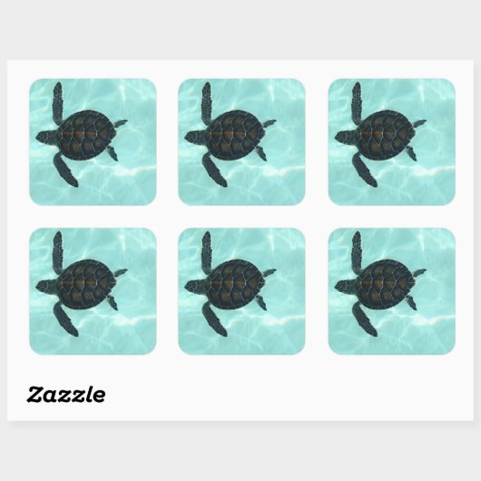 Baby Zee Turtle Sticker (Vel)
