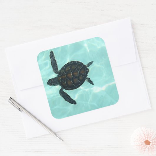 Baby Zee Turtle Sticker (Envelop)