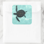 Baby Zee Turtle Sticker (Tas)