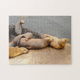 Baby-Zeeen Legpuzzel