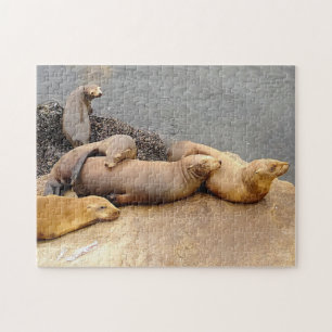 Baby-Zeeen Legpuzzel