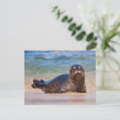 Baby zeehond in het water briefkaart (Staand voorkant)