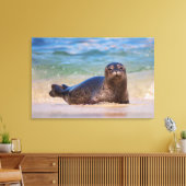 Baby zeehond in het water canvas afdruk (Insitu (Woonkamer))