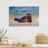 Baby zeehond in het water poster (Keuken)