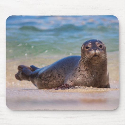 Baby zeehond in water muismat (Voorkant)