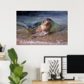 Baby zeehond poster (Thuiskantoor)