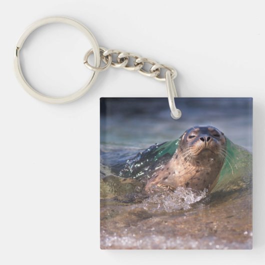 Baby zeehond sleutelhanger (Voorkant)