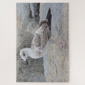 Baby Zeemeeuw Legpuzzel (Verticaal)