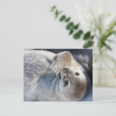 Baby zegel briefkaart (Staand voorkant)