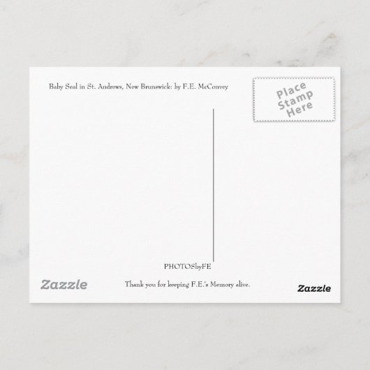 Baby zegel briefkaart (Achterkant)