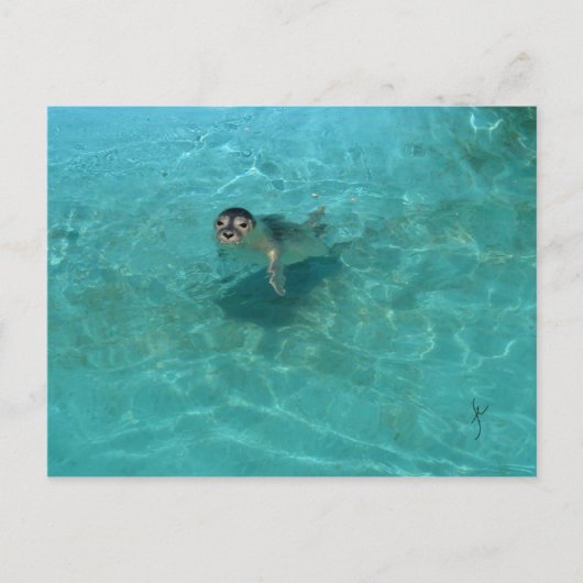 Baby zegel briefkaart (Voorkant)