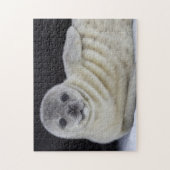 Baby zegel-glimlach legpuzzel (Verticaal)