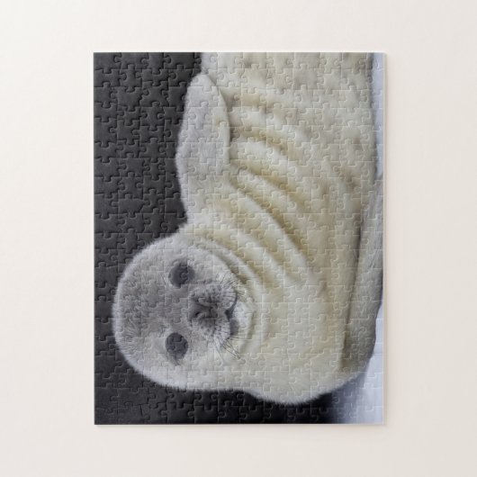 Baby zegel-glimlach legpuzzel (Verticaal)