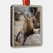 Baby zegel metalen ornament (Rechts)