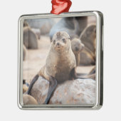 Baby zegel metalen ornament (Links)