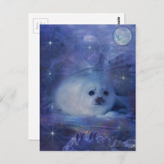 Baby zegel op ijs - Mooie zeebaars Briefkaart (Voorkant / Achterkant)