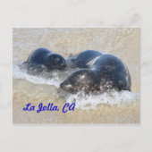 Baby zegels in La Jolla Briefkaart (Voorkant)