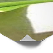 Baby zucchini-planten in de voortuin poster (Hoek)