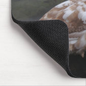 Baby-zwaan Muismat (Hoek)