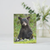Baby zwart Beer Briefkaart (Staand voorkant)