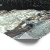 Baby zwart Beer Poster (Hoek)