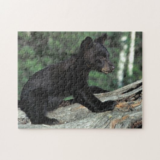 Baby Zwarte Beer Cub Legpuzzel (Horizontaal)