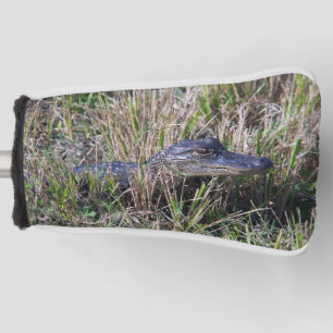 Babyalligator in moerasgras fotografie golfheadcover