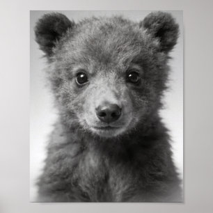 Babybeertje-portret voor de kinderkamer poster