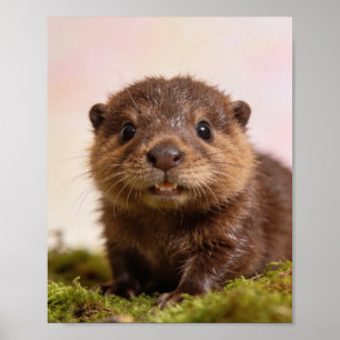 Babybever-kinderkamer-muurkunstprint Poster