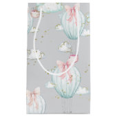 Babyblauw en roze hete luchtballonnen klein cadeauzakje (Voorkant)